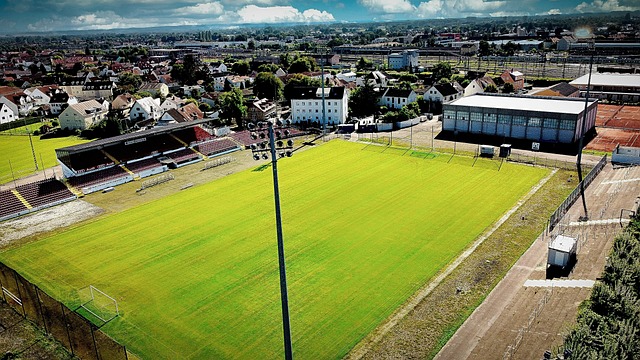 质量的团队 质量的团队