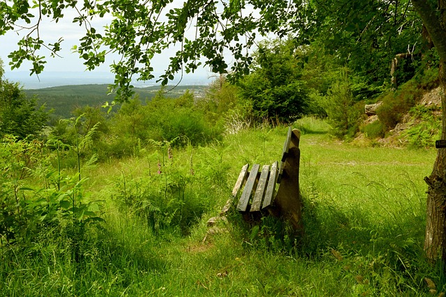 西班牙在决 西班牙在决