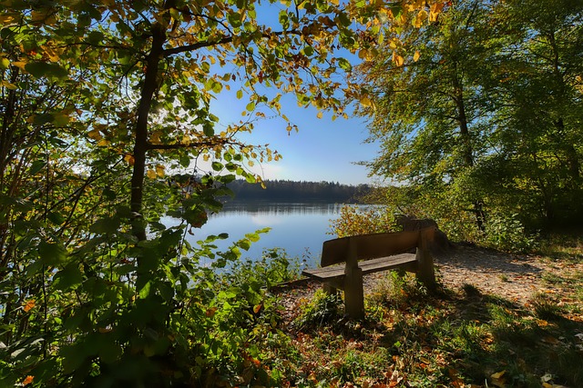 他們成為世 他們成為世